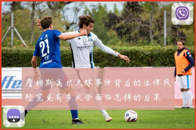 詹姆斯高尔夫球事件背后的法律风险究竟有多大会面临怎样的后果